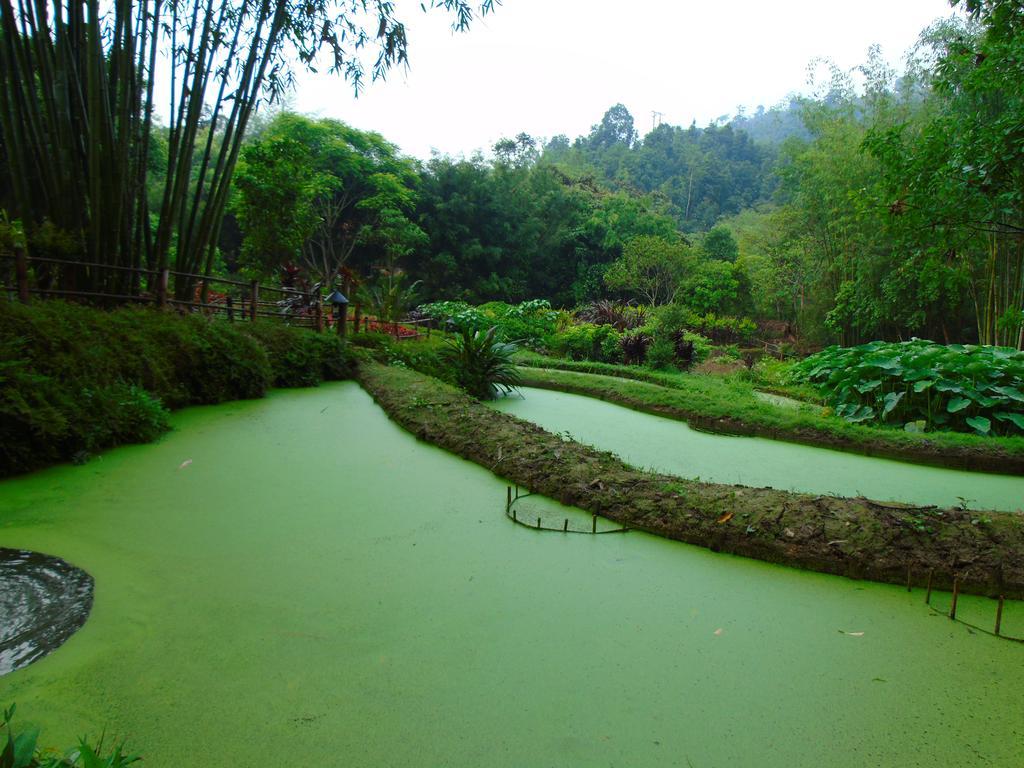 Panhou Retreat Hotell Ha Giang Eksteriør bilde